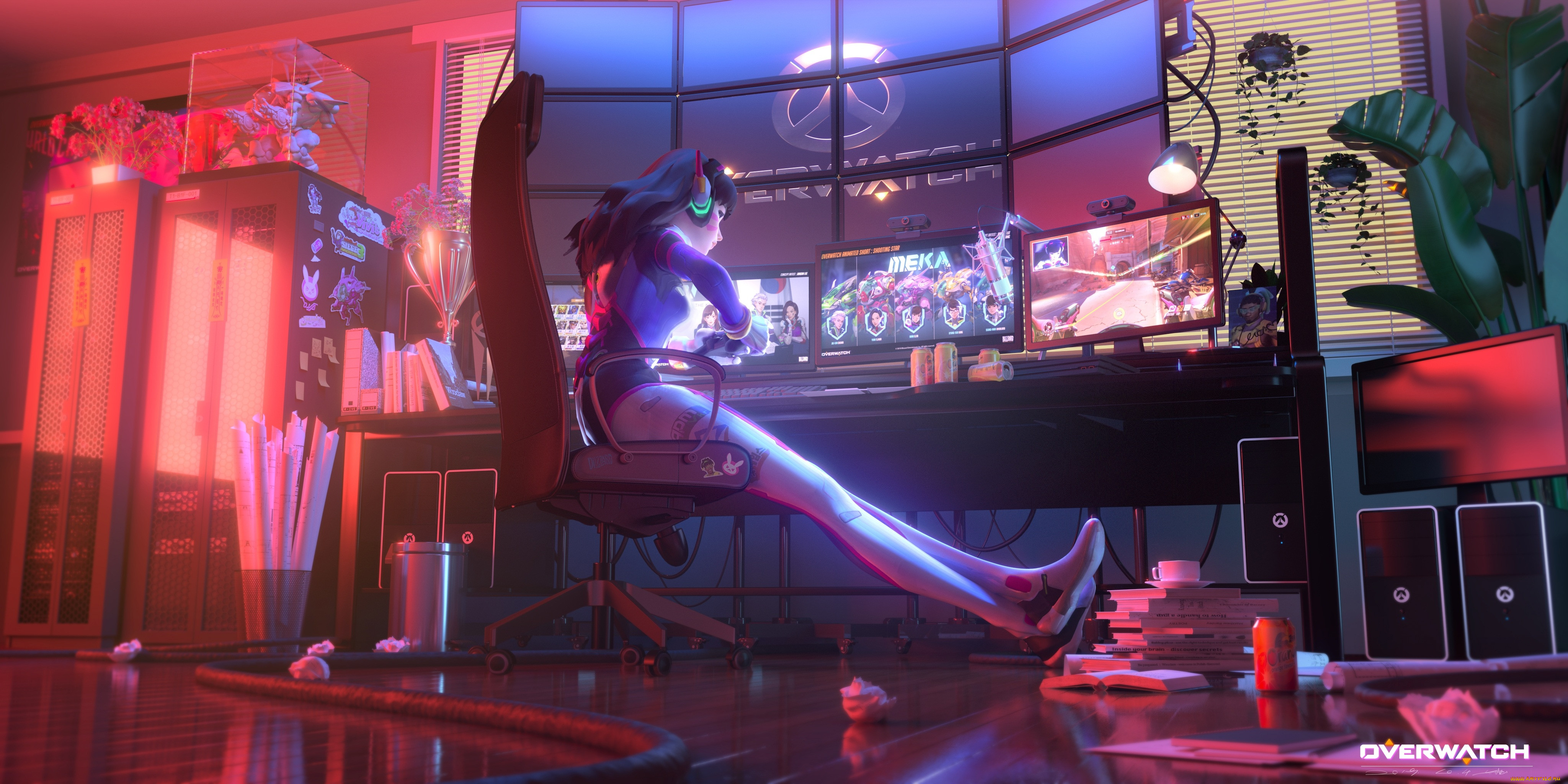  , overwatch